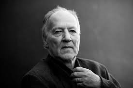 Herzog y el robo de una cámara
