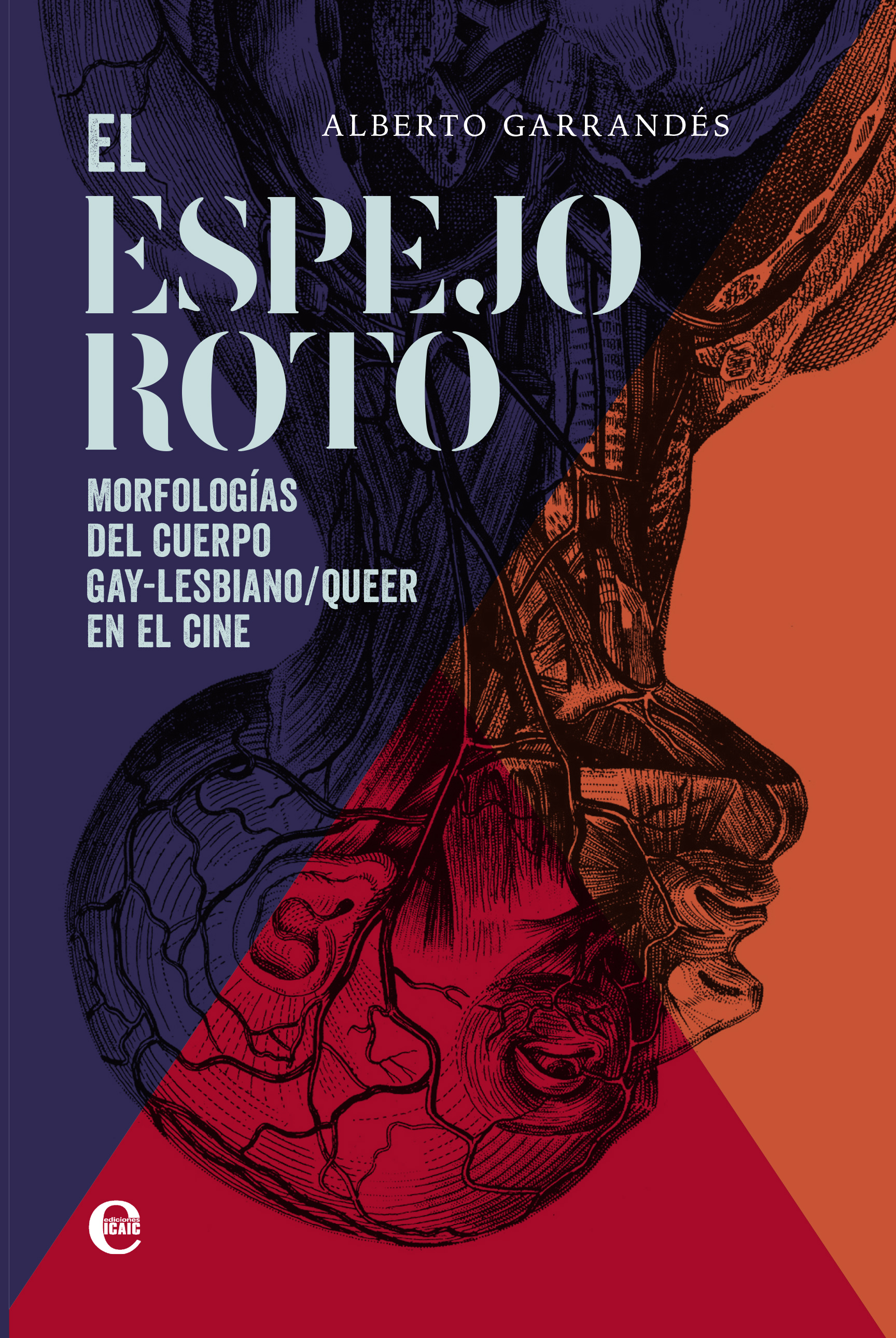 El espejo roto. Morfologías del cuerpo gay-lesbiano/queer en el cine