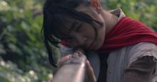 Birdshot