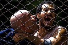 La pared de las palabras